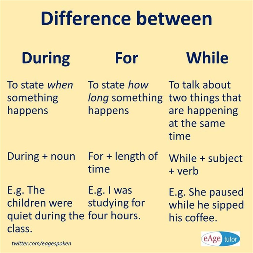 Differences between while/during/for